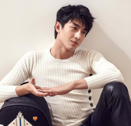 林更新为什么不拍戏了