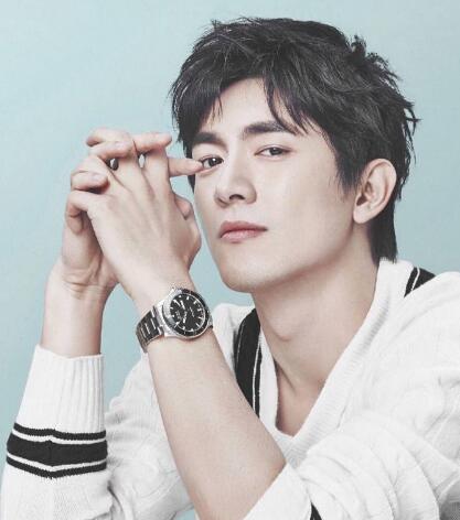 林更新为什么不拍戏了