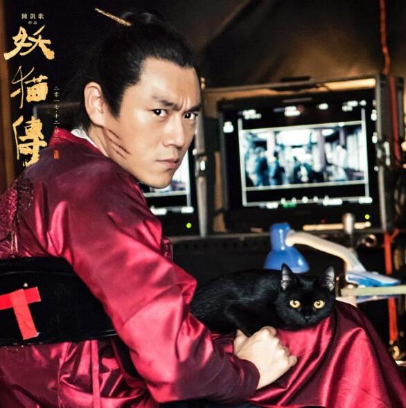 ������Ƿ��èʲô