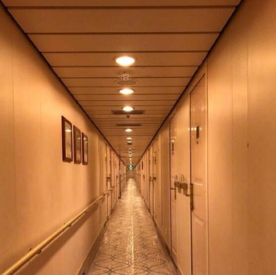 ���Ǵ���̽5¼�Ƶص��ع�