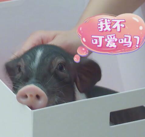 Ů���ǵ������ڶ����ź���֣ˬ��