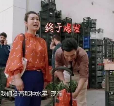 秦海璐回应情商争议