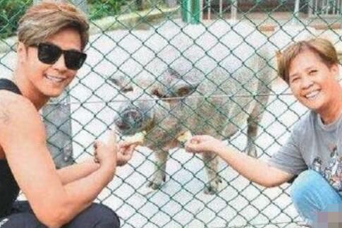 ��־��ĳ�����ʲô