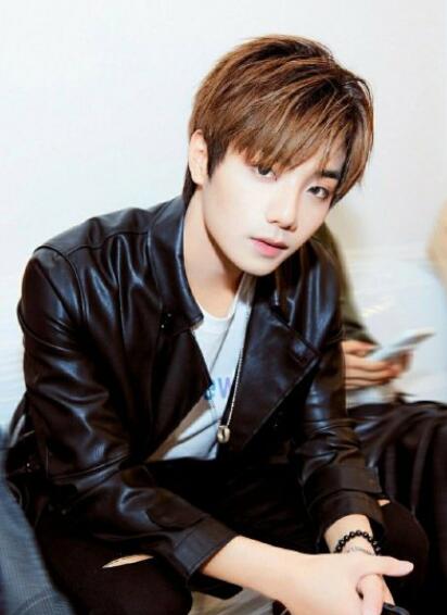 李振宁恋情女主是张天馨吗