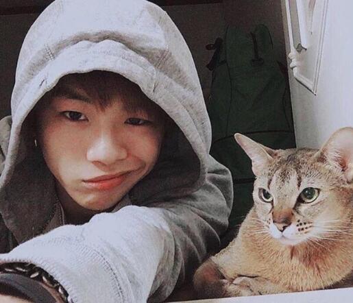 姜丹尼尔为什么这么火