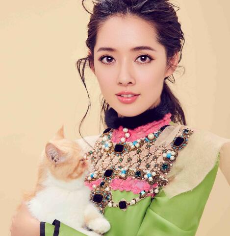 为什么大佬都喜欢郭碧婷