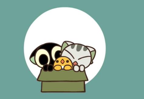 ����Ϊʲôϲ����С��