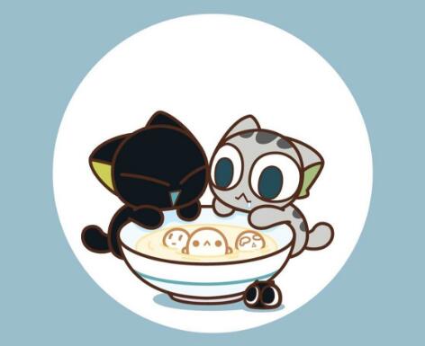 ����Ϊʲôϲ����С��