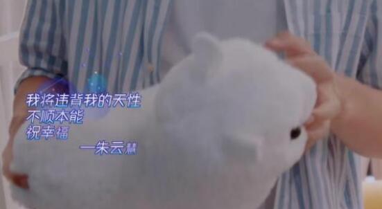 恋梦空间朱云慧为什么退出