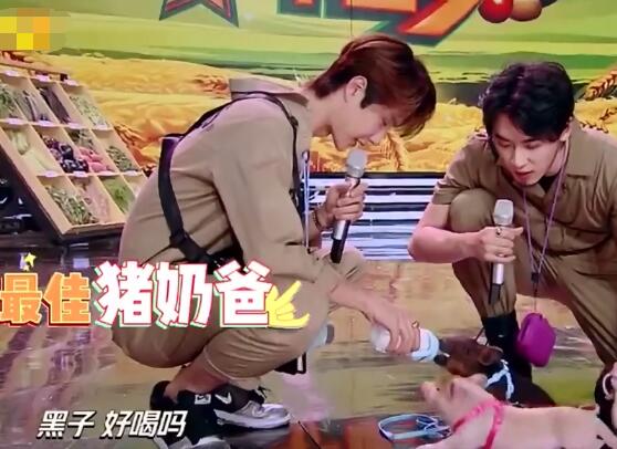 ��һ���ײ�ʲô��Ŀ��һ�� 