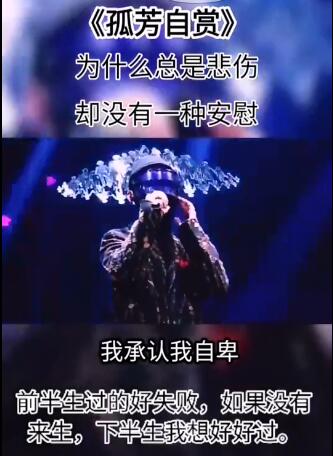 泪·һ