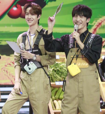 王一博和天天向上的合约签了多久