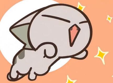 ������ʲôƷ�ֵ�è