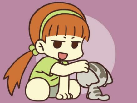 ������ʲôƷ�ֵ�è