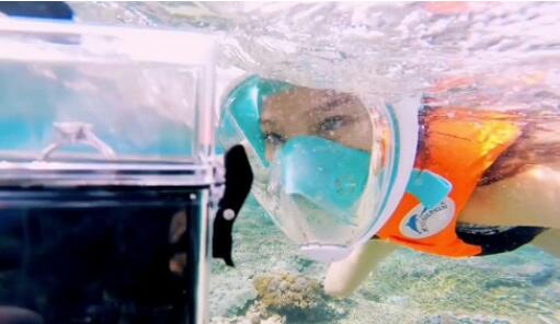 魏晨给前女友打电话什么节目