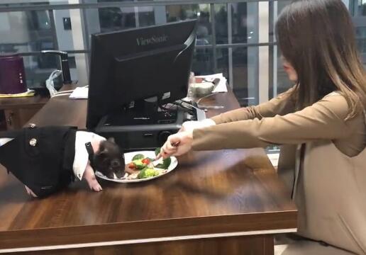 칫СҰ칫