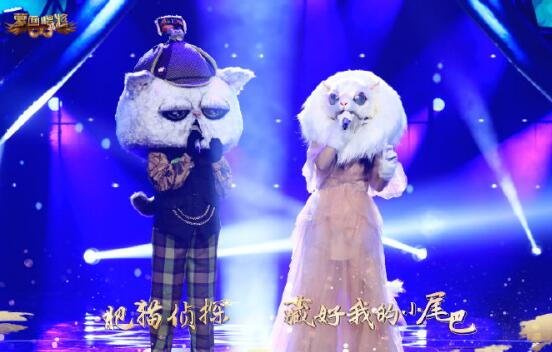 ���泪��4��è��̽�������