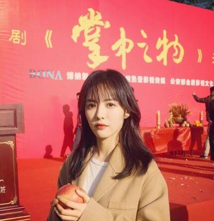 掌中之物讲的是什么