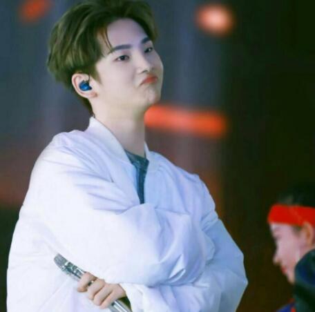 周震南为什么没有在韩国出道