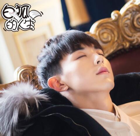 白狐的人生白逍是狐狸精吗