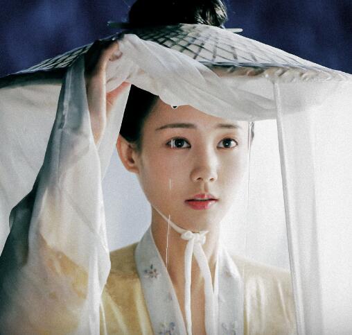 鹤唳华亭阿宝真实身份