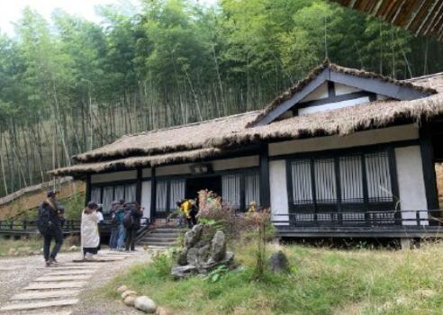 野生厨房2嘉宾官宣