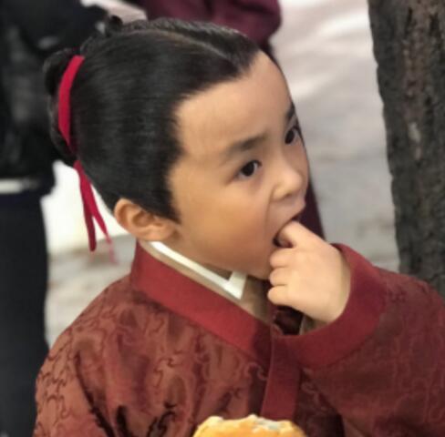 鹤唳华亭为什么叫阿琛