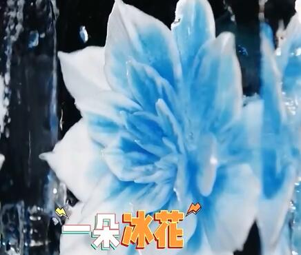 ����������һ��������һ��