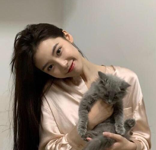 半藏森林为什么叫小起