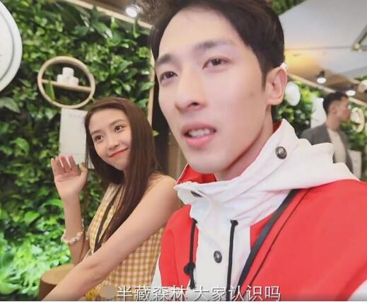 半藏森林为什么叫小起