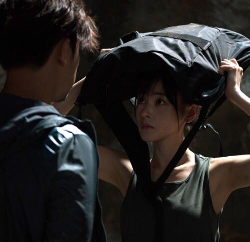 鳄鱼与牙签鸟主要讲什么