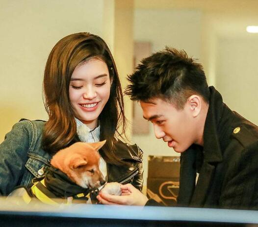 何猷君回怼网友