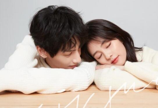 罗云熙与白鹿演的电视剧叫什么