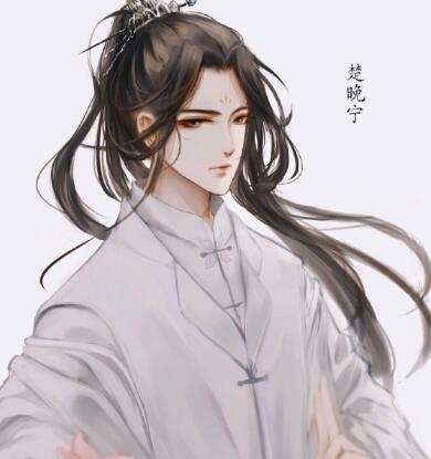 楚晚宁是什么身世