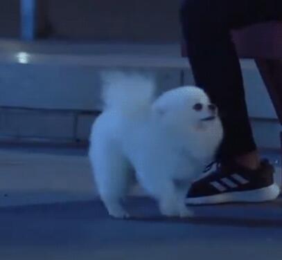 ��һվ���Ҹ�Ԫ�εĹ���ʲôƷ��