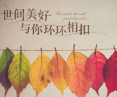 世间美好与你环环相扣抖音谁唱的