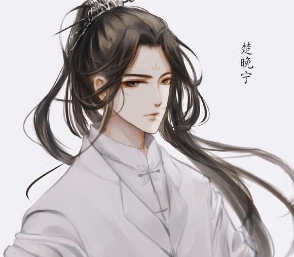 楚晚宁上一世是怎么死的
