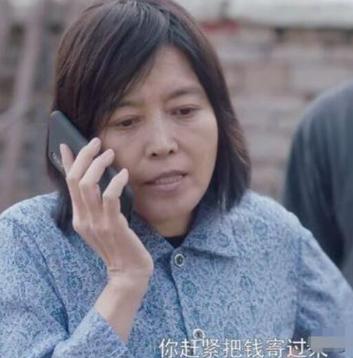 安家房似锦妈妈结局