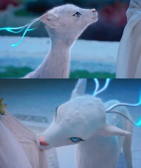 Ϊʲô