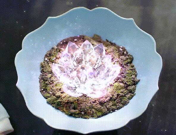 ĵΪʲô