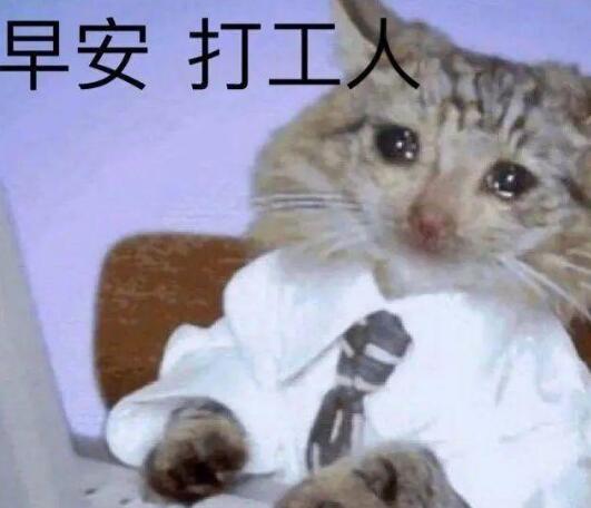 ʲô
