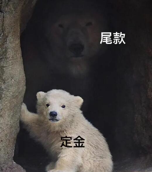 β˶ʲô˼ 