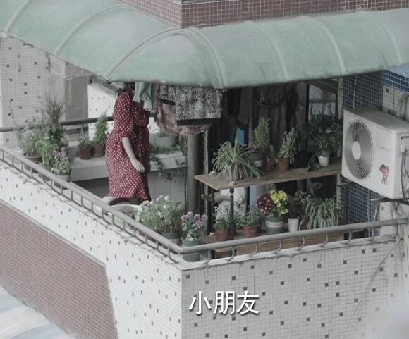 Ƽ뾰